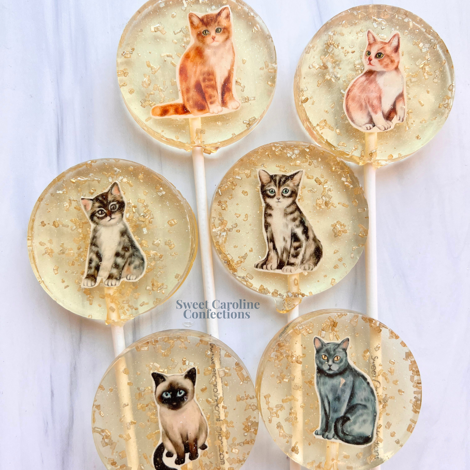 00564 CAT COLLECTION - Sweet Caroline Confections | The Original Sparkle Lollipops