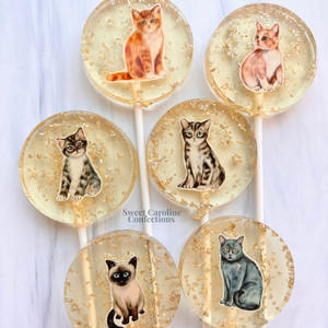 00564 CAT COLLECTION - Sweet Caroline Confections | The Original Sparkle Lollipops