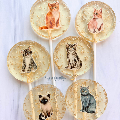 00564 CAT COLLECTION - Sweet Caroline Confections | The Original Sparkle Lollipops